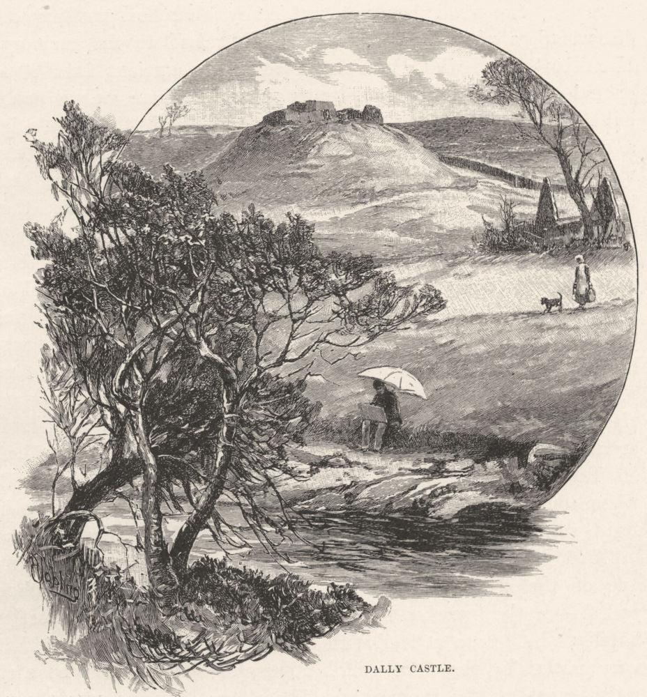 NORTHUMBERLAND. Dally castle 1901 old antique vintage print picture